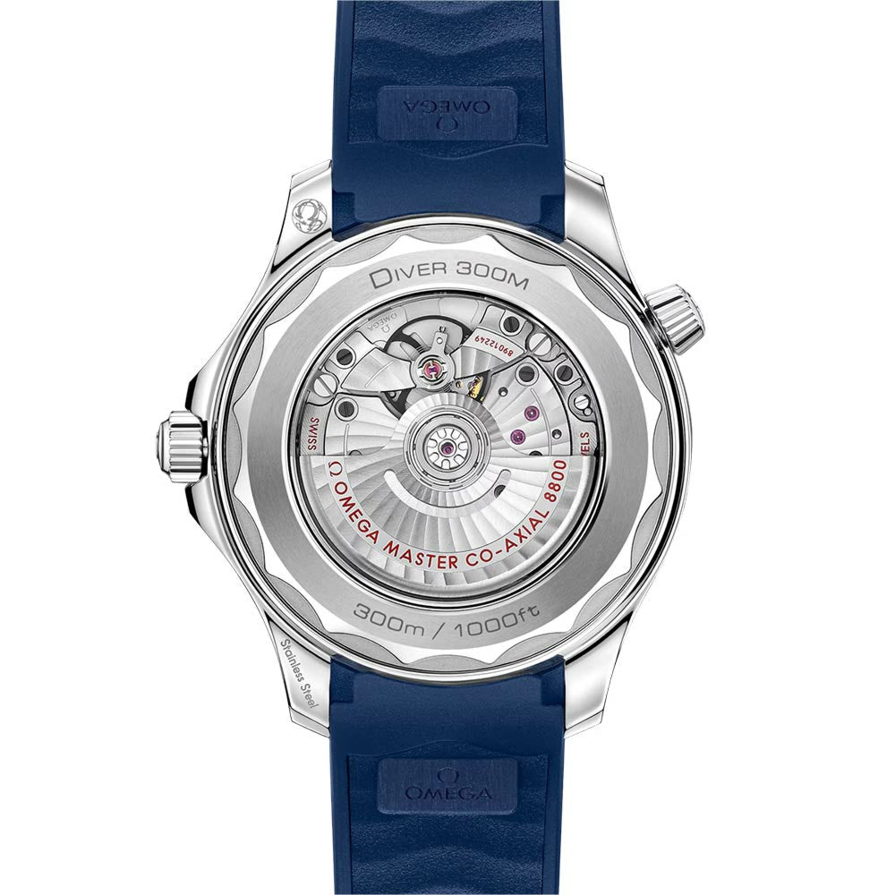 Seamaster Diver 300m Blue Dial Blue Strap Watch 21032422003001