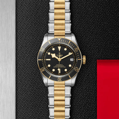 Black Bay Steel & Gold Ref. M79733N-0008