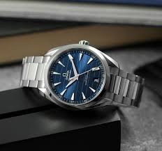 Seamaster Aqua Terra Steel 220.10.41.21.03.004