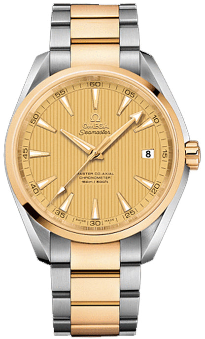 Seamaster Aqua Terra 231.20.42.21.08.001