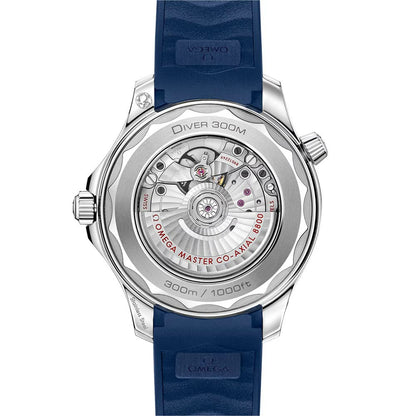 Seamaster Diver 300m Blue Dial Blue Strap Watch 21032422003001