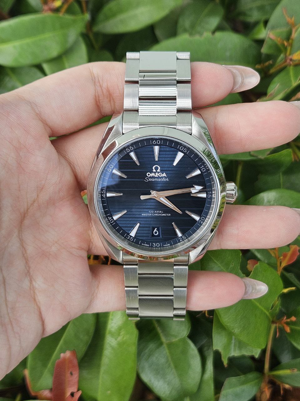 Seamaster Aqua Terra Steel 220.10.41.21.03.004